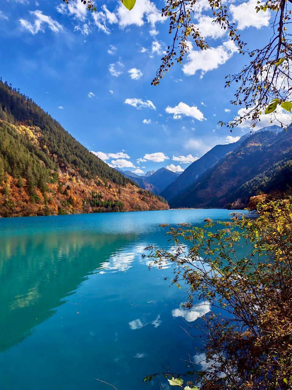 จิ่วจ้ายโกว